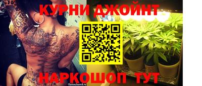 гидра Гагарин