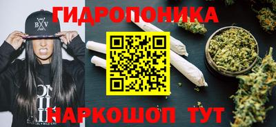 гидра Гагарин